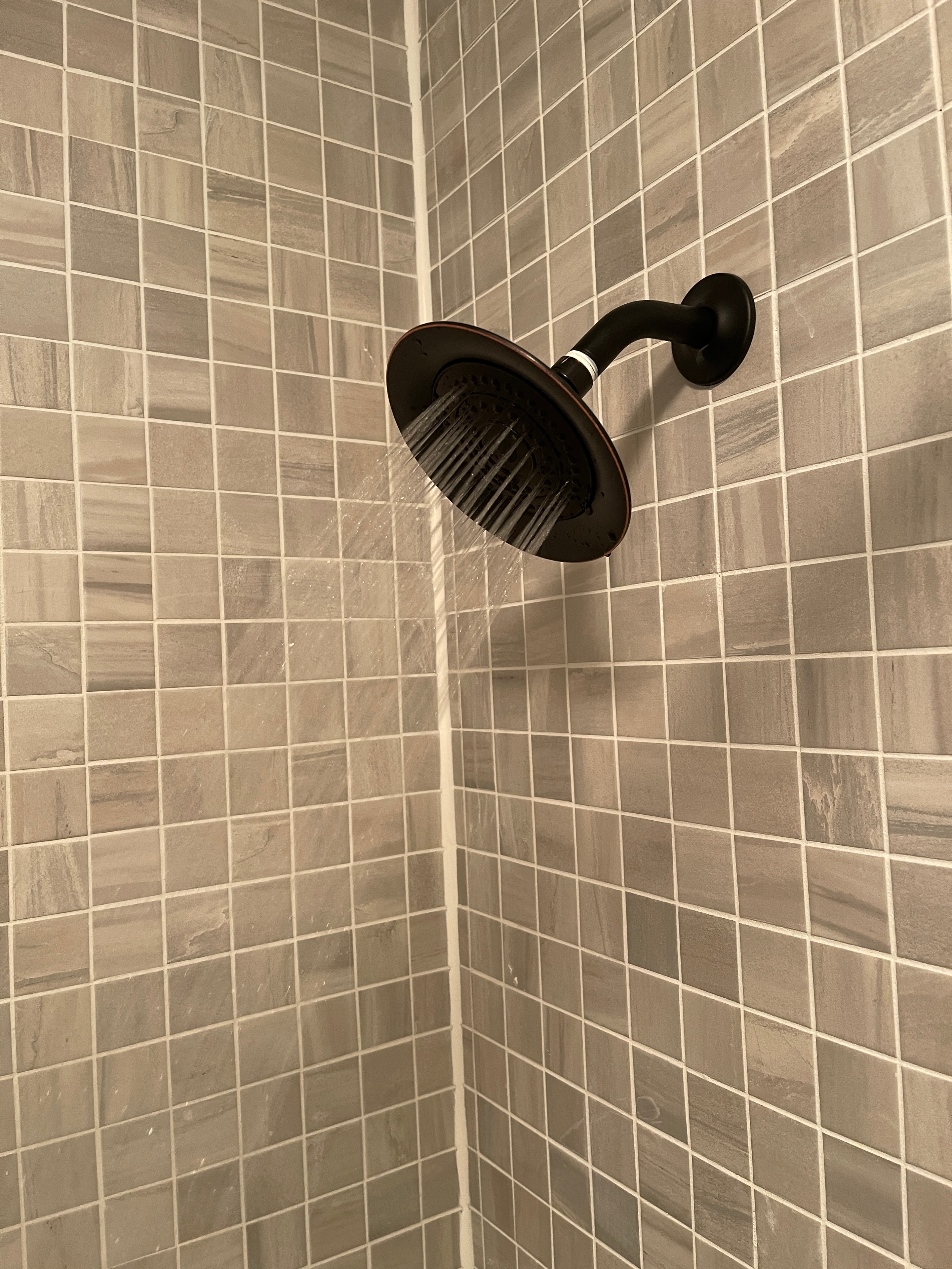 Mosaic Tile Shower with Pebble Niches